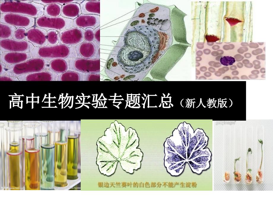 高中生物实验专题汇总_第1页