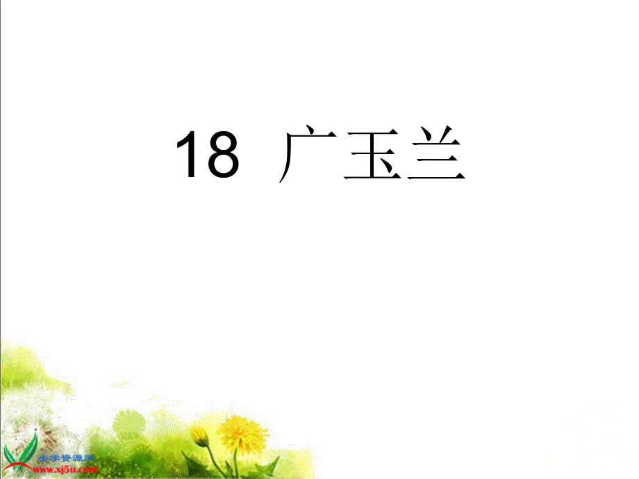 18《广玉兰》PPT课件(苏教版六年级语文下册课件)[1]_第1页