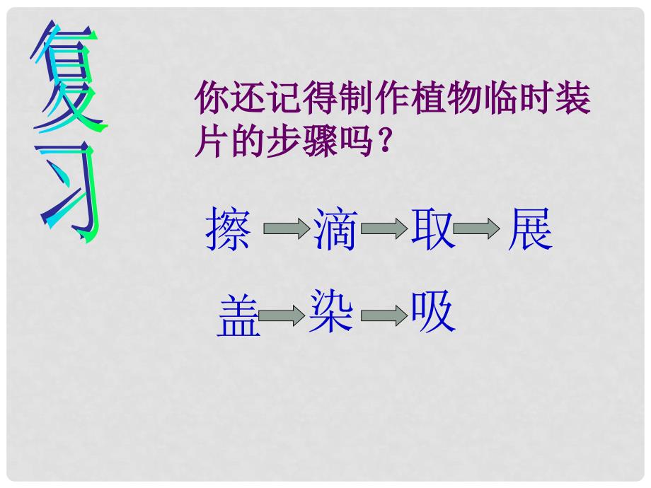 广西柳州市第十四中学七年级生物上册《观察动物细胞》课件 新人教版_第2页