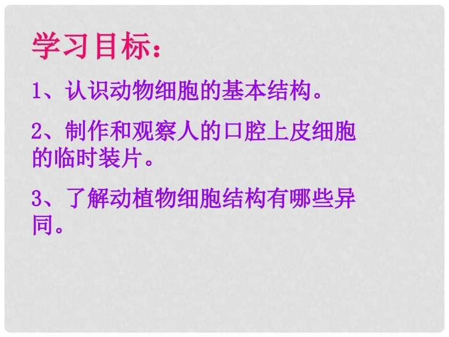 广西柳州市第十四中学七年级生物上册《观察动物细胞》课件 新人教版_第5页