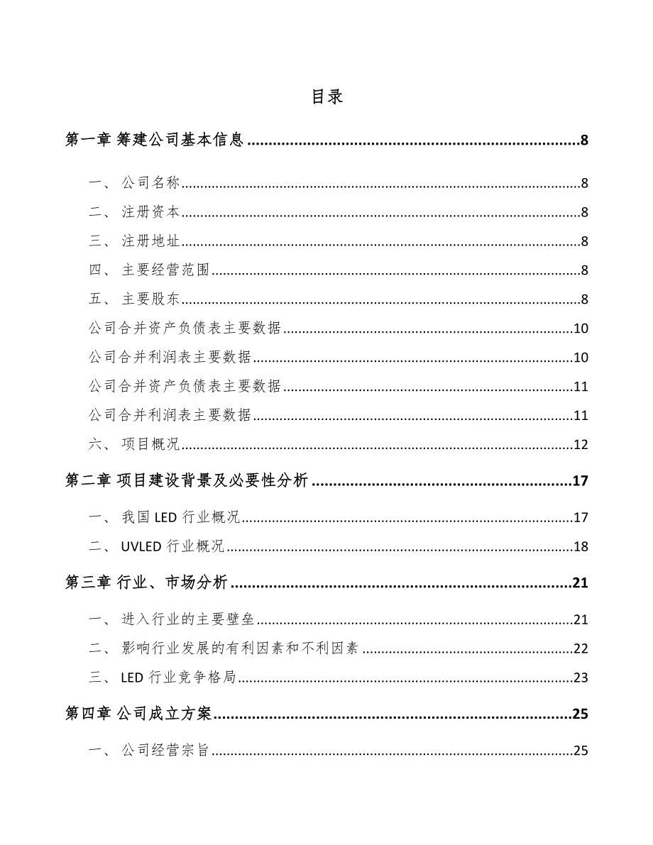 丽水关于成立LED应用产品公司可行性报告_第2页