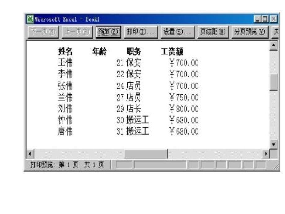 Excel2003电子表格处理软件上基础部分第四部分预览和调_第5页