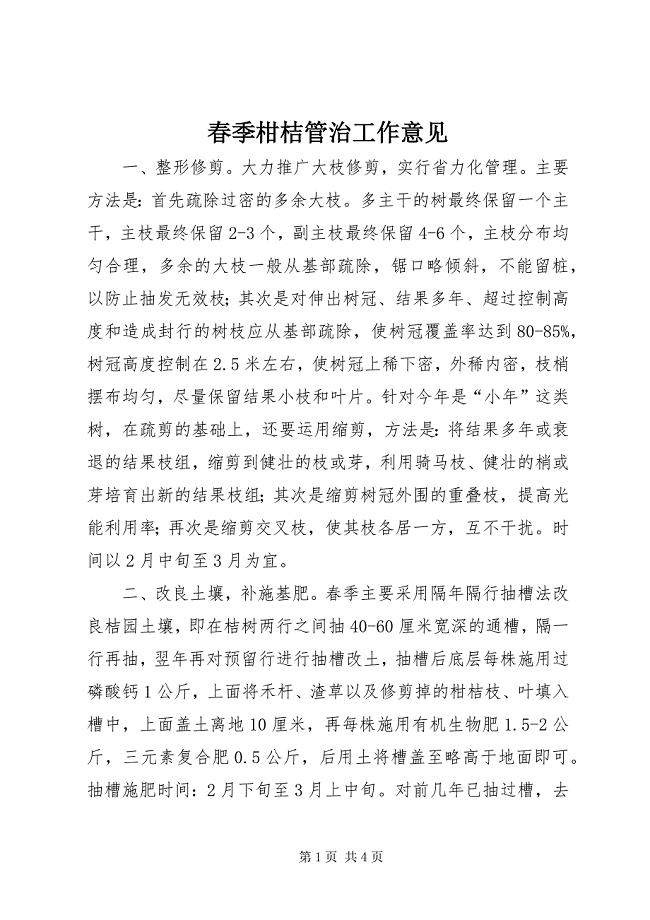 2023年春季柑桔管治工作意见.docx