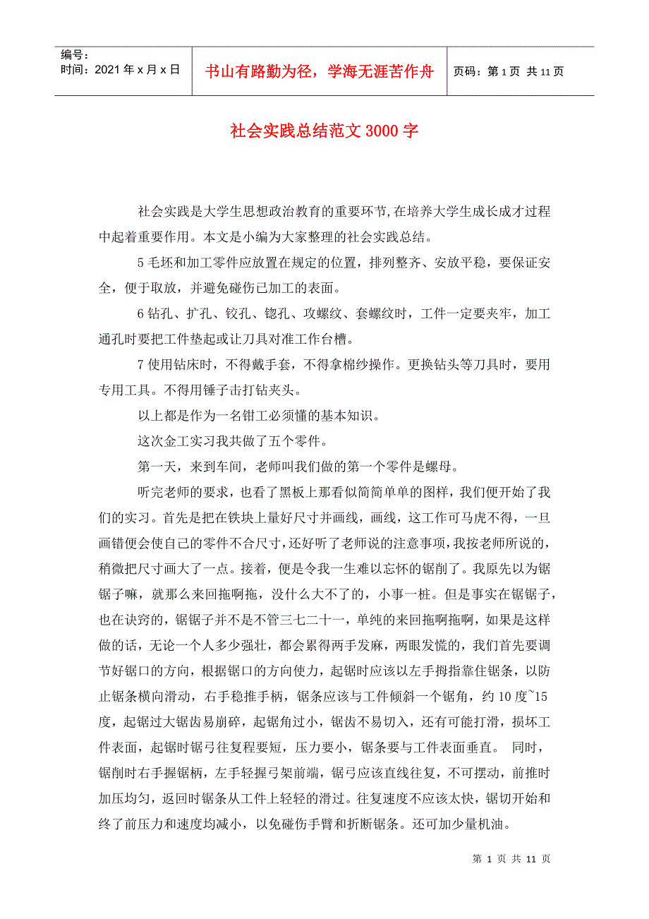 社会实践总结范文3000字_第1页