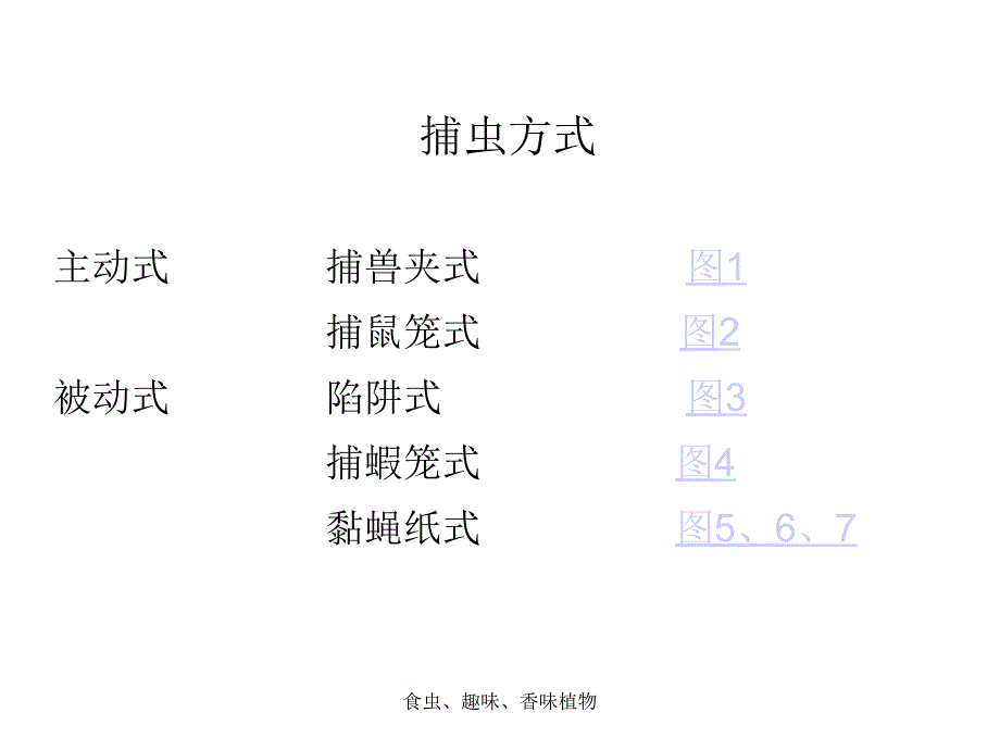 食虫趣味香味植物课件_第4页