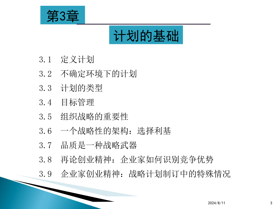 XXXX管理学计划03_第3页