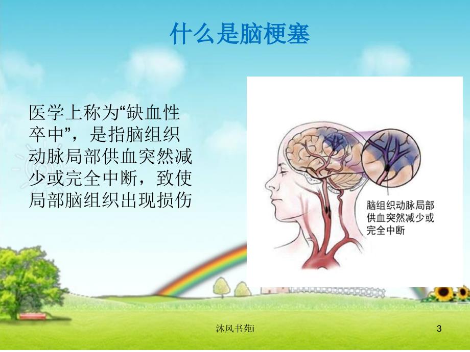 脑梗塞健康管理[行业特制]_第3页