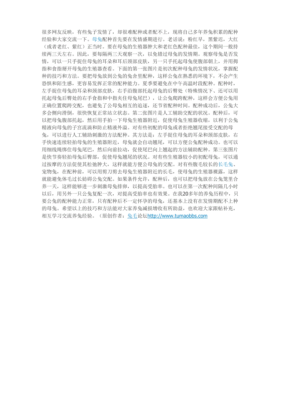 兔子的配种与技巧_第1页