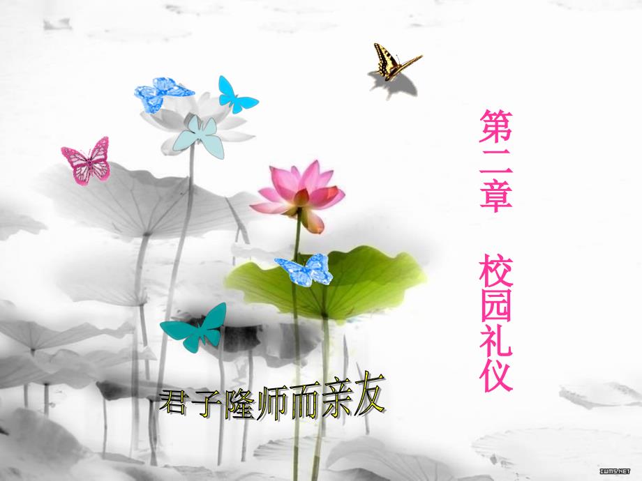 第二章校园礼仪_第1页