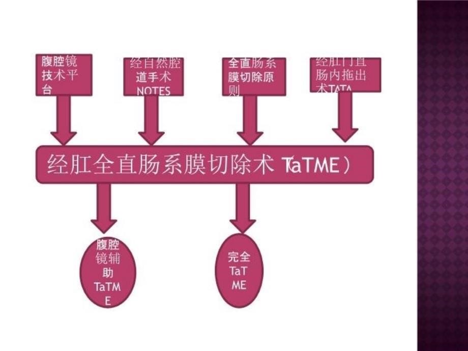 TaTME-直肠癌手术的新突破知识讲解_第5页