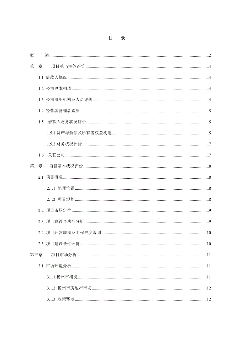 专项项目贷款评估基础报告_第2页