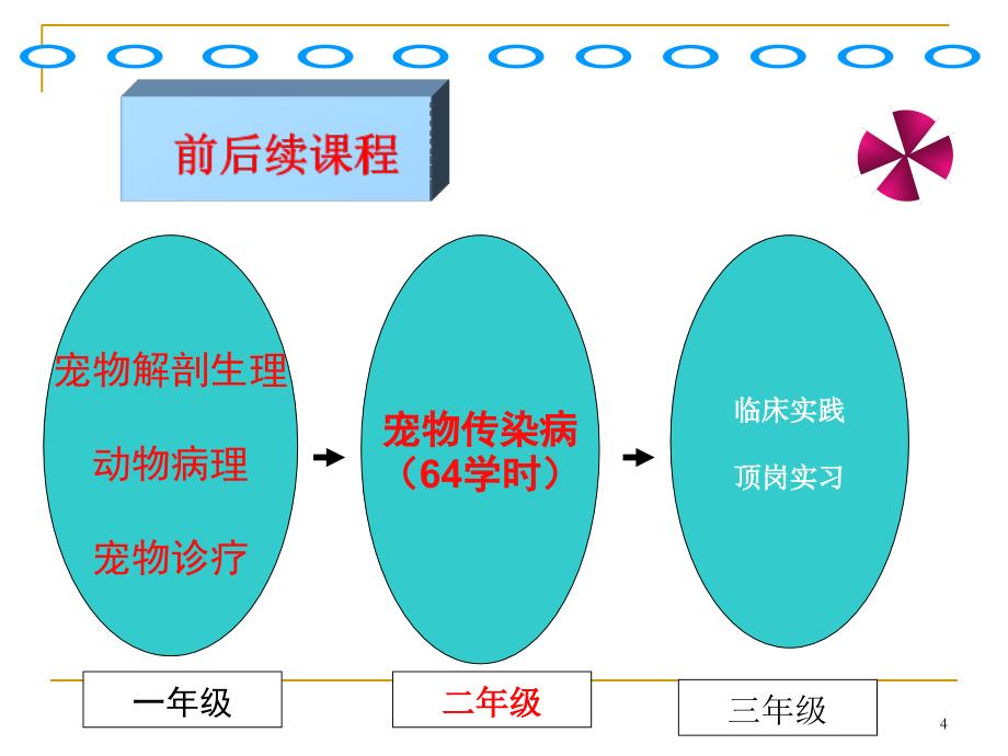 宠物传染病整体课程剖析廖健慧_第4页