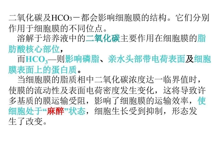 第四章RQ补料发酵终点7_第5页