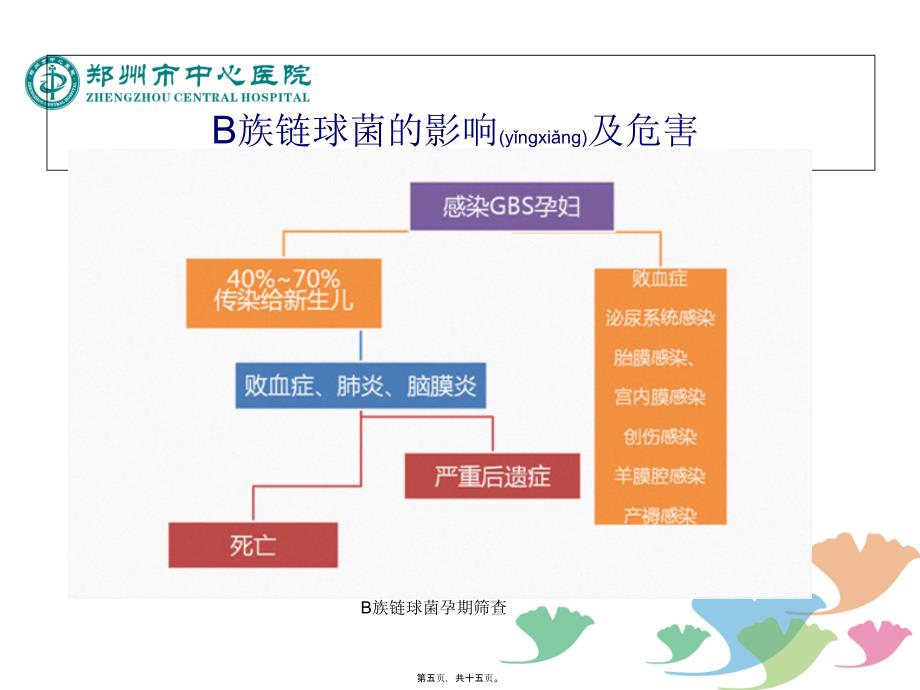 B族链球菌孕期筛查课件_第5页