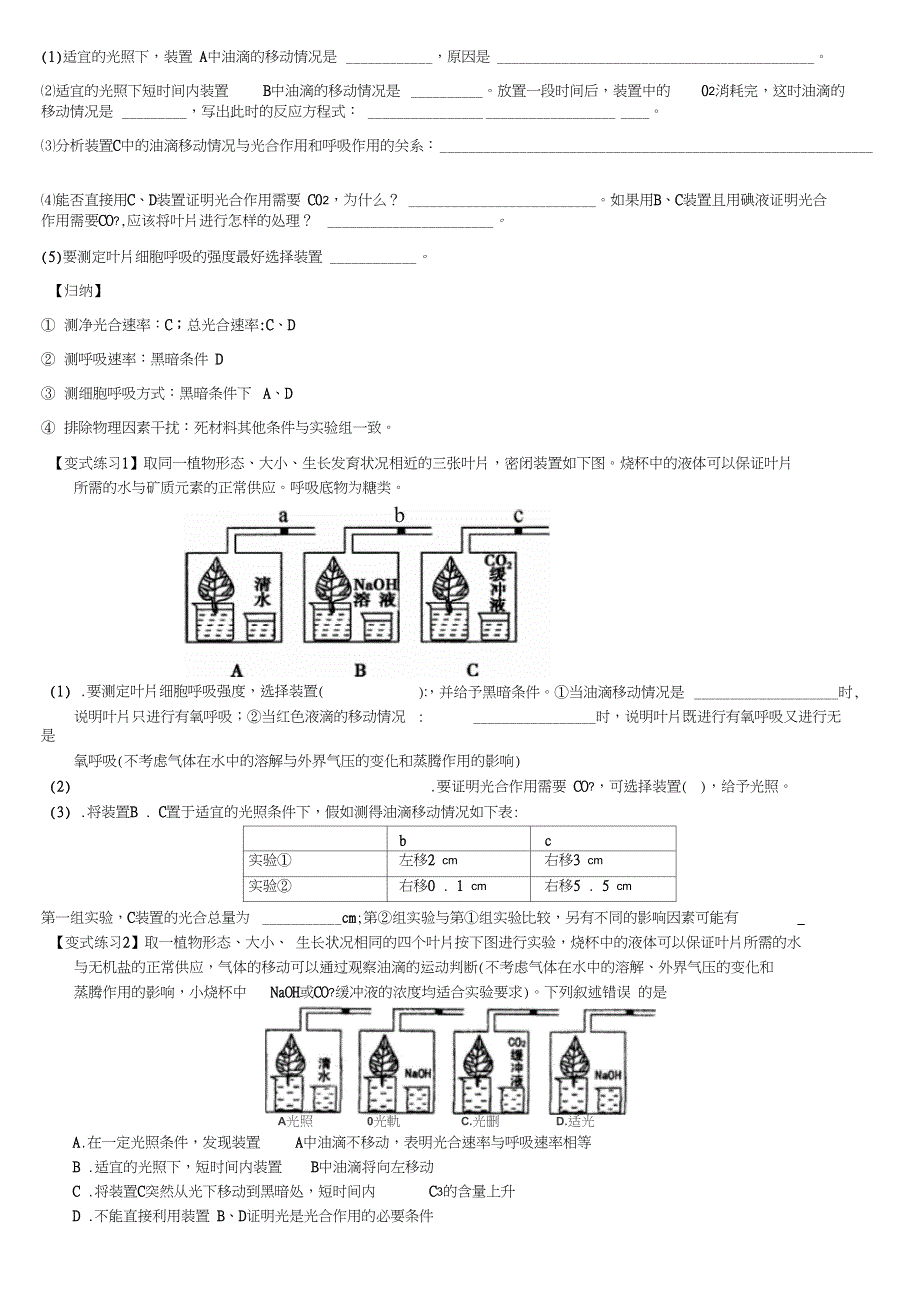 光合与呼吸(总结)_第4页