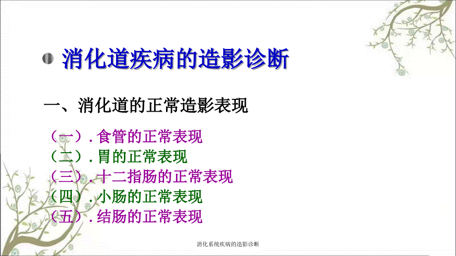 消化系统疾病的造影诊断_第4页