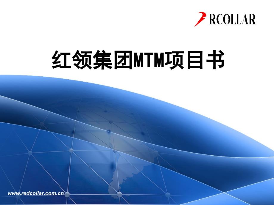 红领集团MTM项目书_第1页