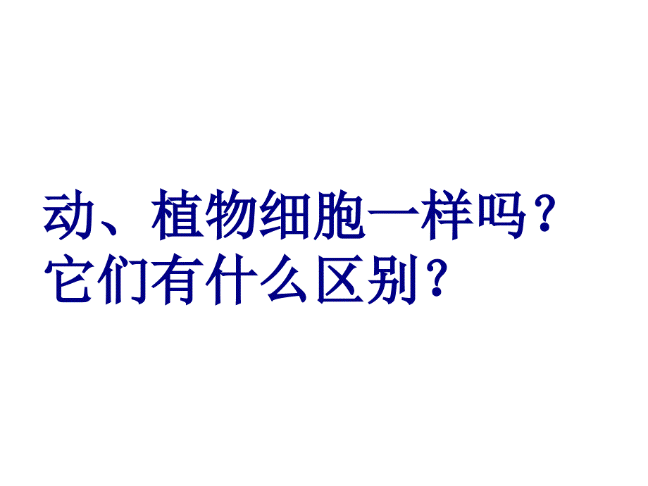 人和动物细胞的结构和功能_第4页