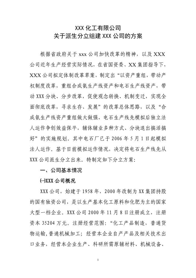 XXX化工有限公司派生分立组建XXX公司的方案.doc