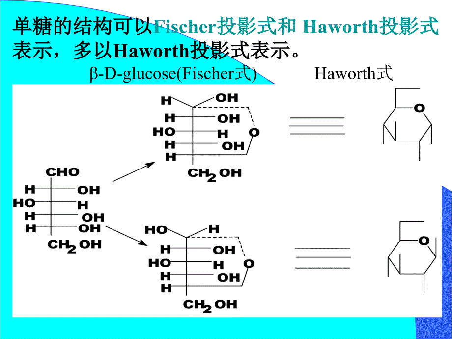 022糖与苷演示文稿_第4页