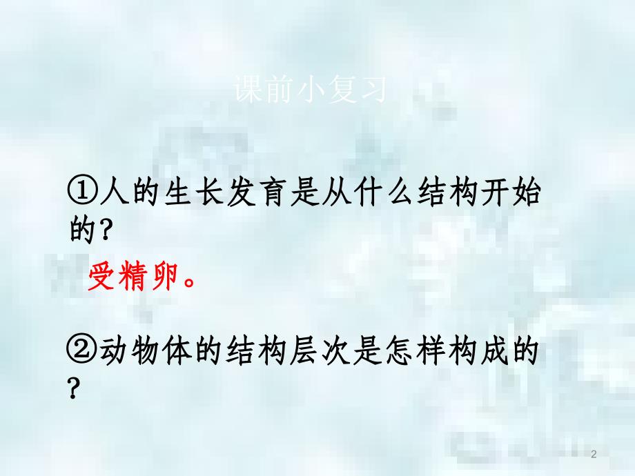 辽宁省凌海市七年级生物上册2.2.3植物体的结构层次优质课件新版新人教版_第2页