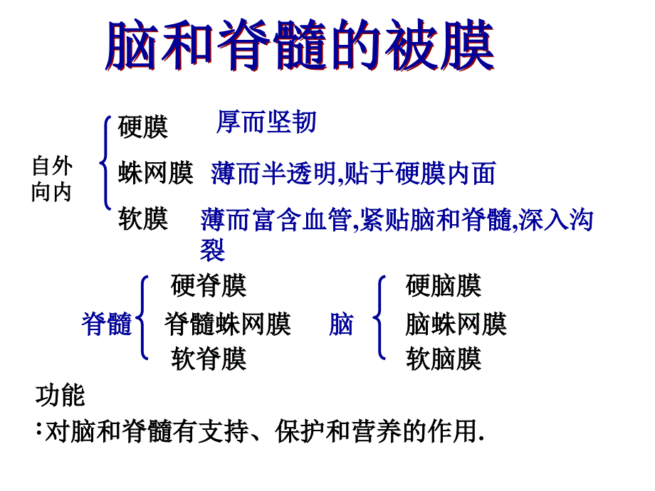 第九章脑和脊髓的被膜、脑脊液和血管_第1页