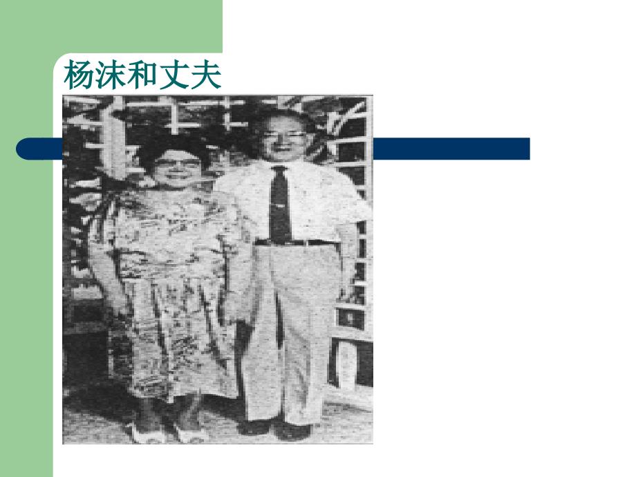 中国当代文学概况.ppt_第3页