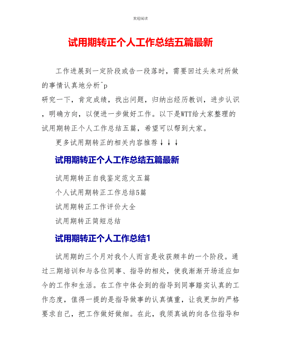 试用期转正个人工作总结五篇最新_第1页