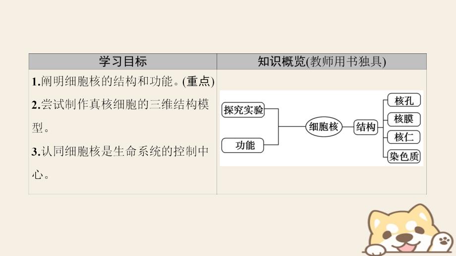 高中生物第三章细胞的基本结构第3节细胞核mdashmdash系统的控制中心课件新人教版必修1_第2页