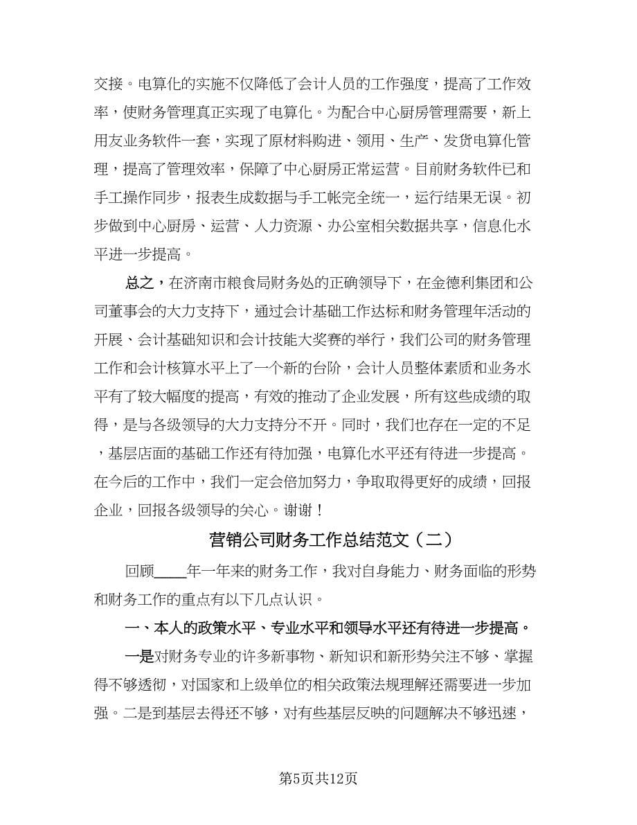 营销公司财务工作总结范文（三篇）.doc_第5页