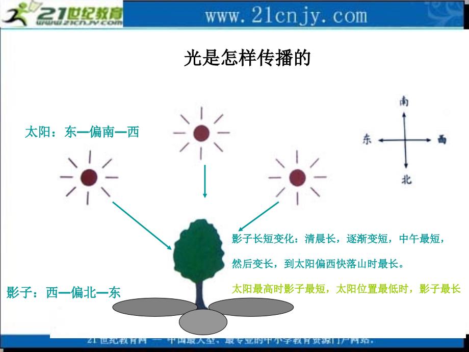 教科版)五年级科学上册课件光是怎样传播的(习题).ppt_第2页