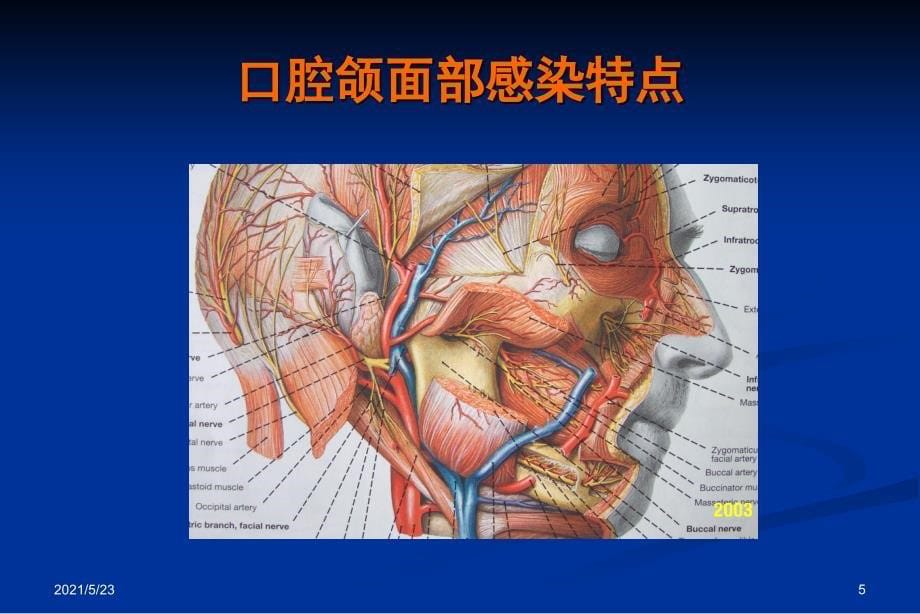 口腔助理医师-口腔医师考试病例分析_第5页