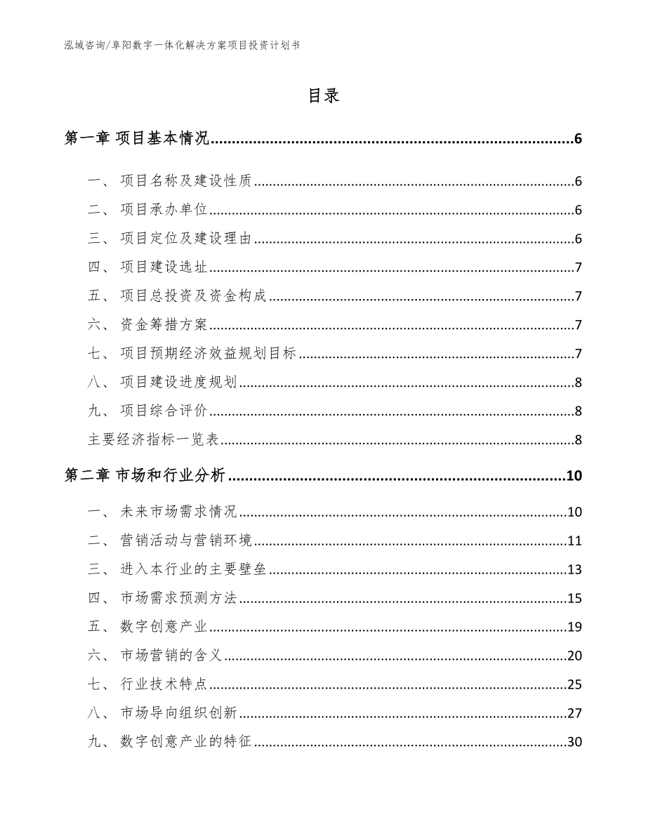 阜阳数字一体化解决方案项目投资计划书（模板范文）_第2页