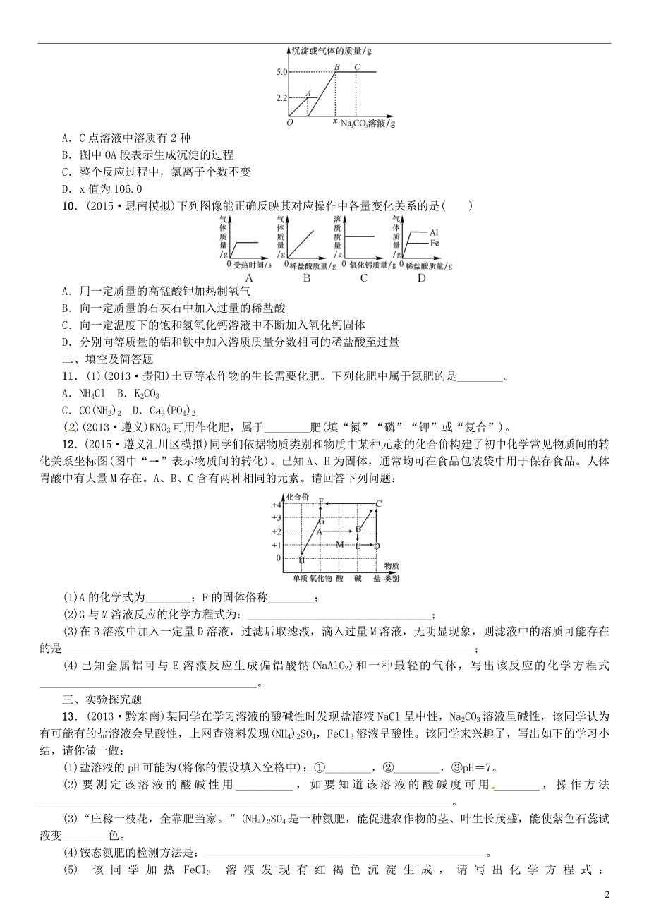 贵州省中考化学专项训练盐化学肥料_第2页