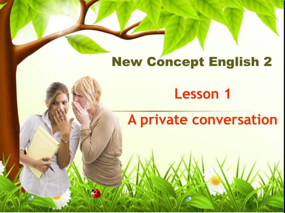 新概念第二册Lesson1Aprivateconversation课件_第2页