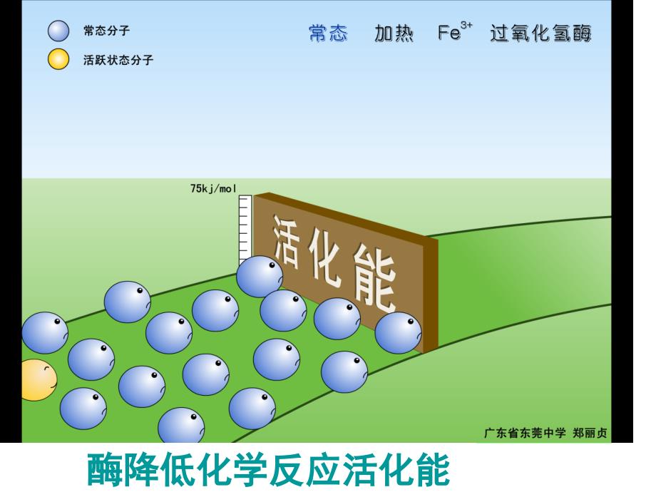 最新：一轮复习 细胞的代谢 酶 ATP文档资料_第3页