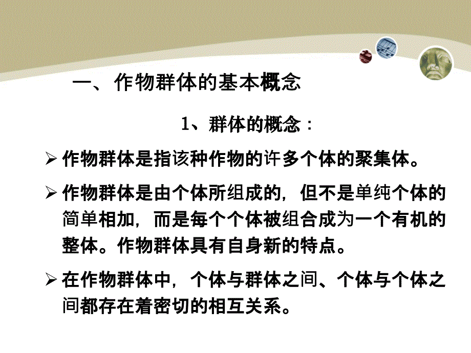 作物的群体特征PPT课件_第3页