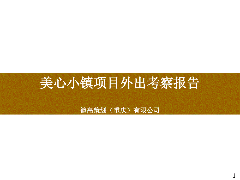 某小镇项目外出考察报告_第1页