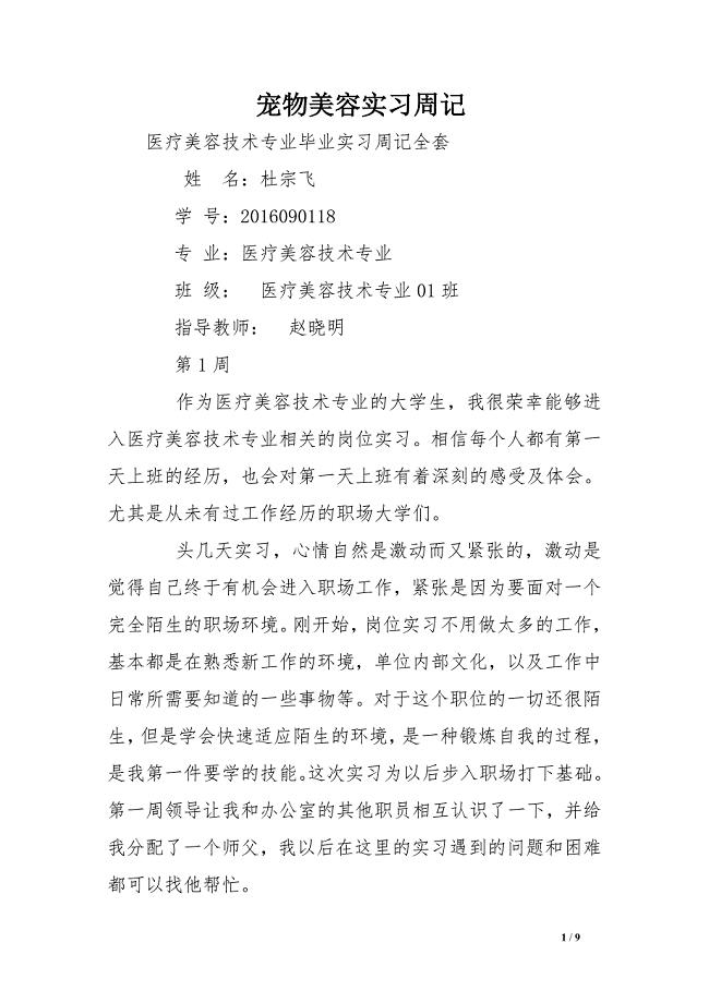 宠物美容实习周记