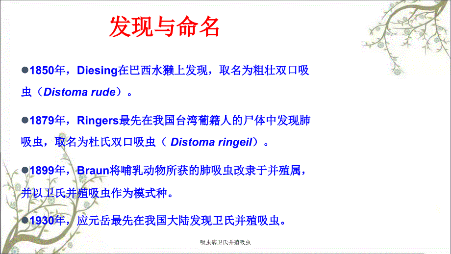 吸虫病卫氏并殖吸虫_第3页