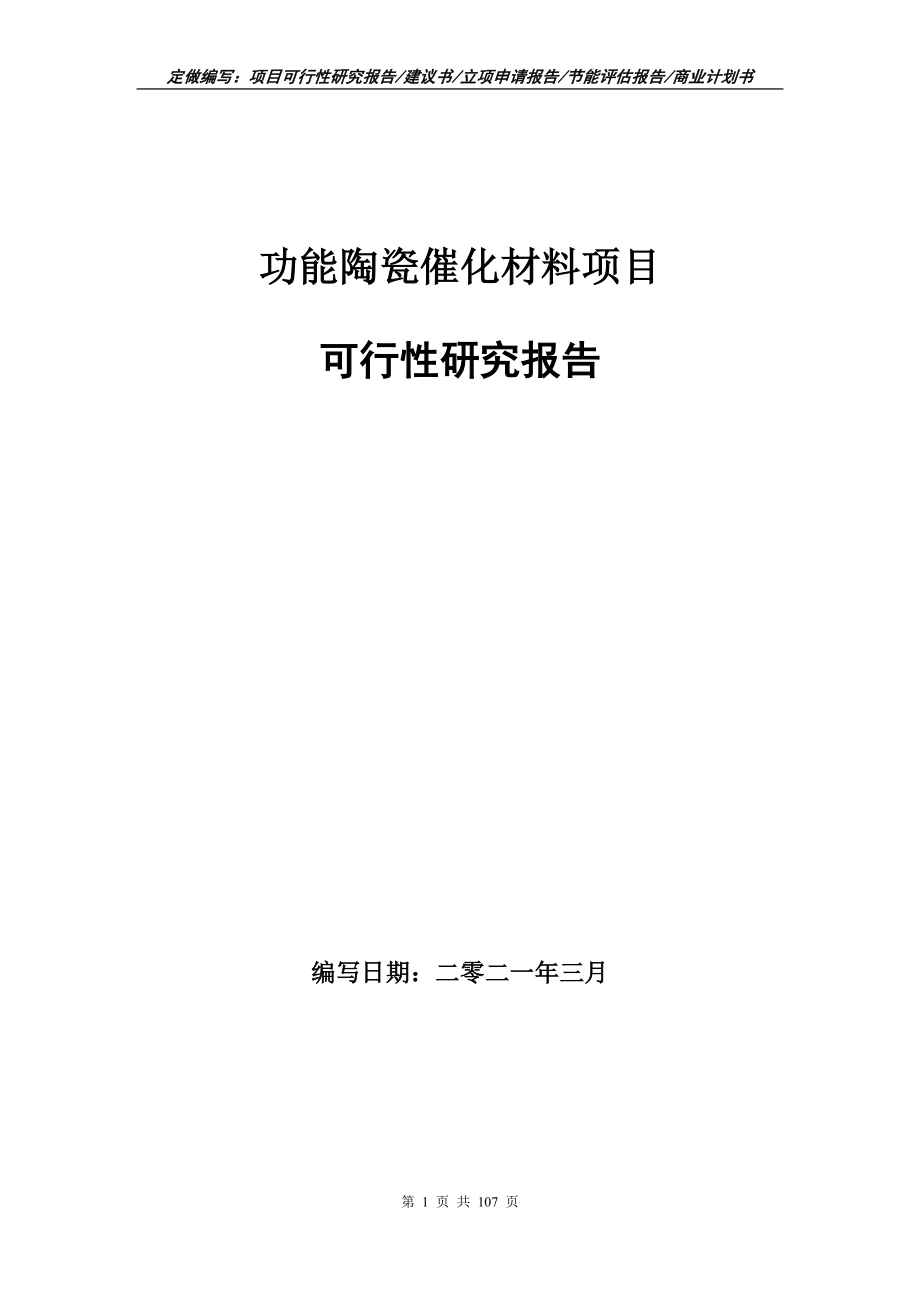 功能陶瓷催化材料项目可行性研究报告写作范本_第1页