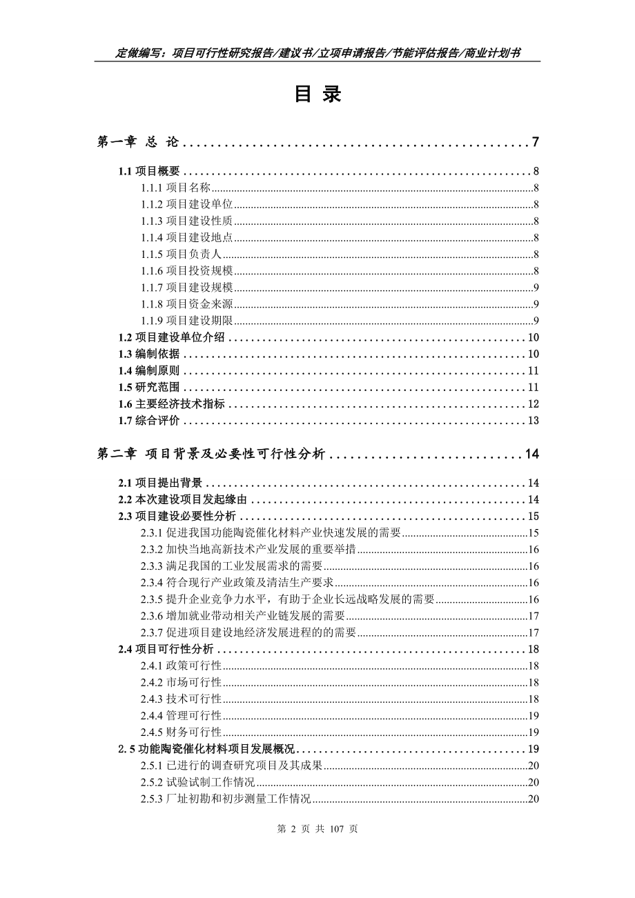 功能陶瓷催化材料项目可行性研究报告写作范本_第2页