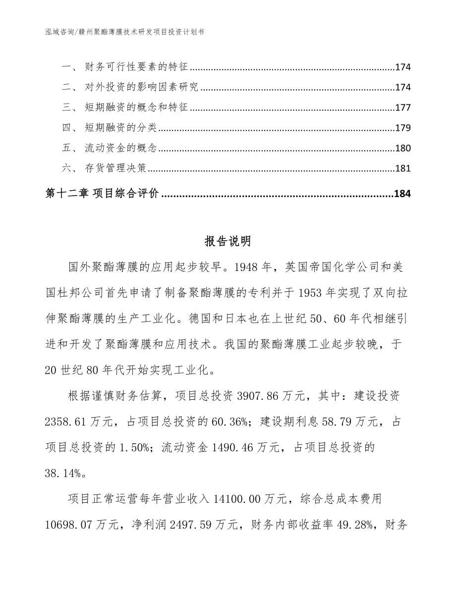 赣州聚酯薄膜技术研发项目投资计划书_第5页