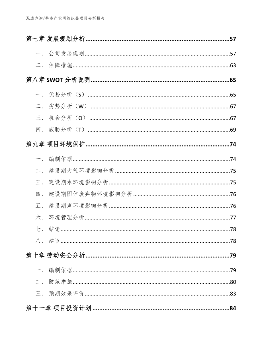 芒市产业用纺织品项目分析报告参考模板_第4页