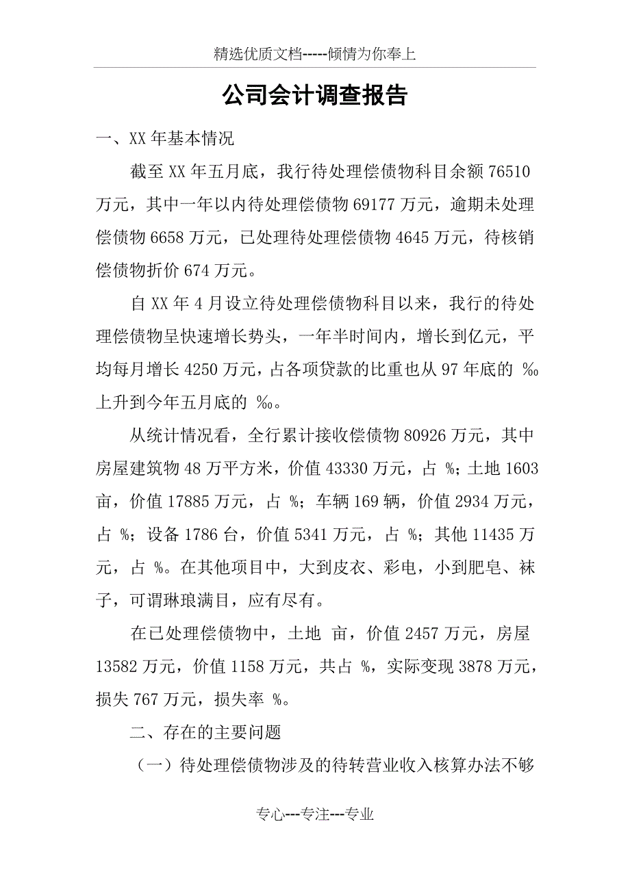 公司会计调查报告_第1页