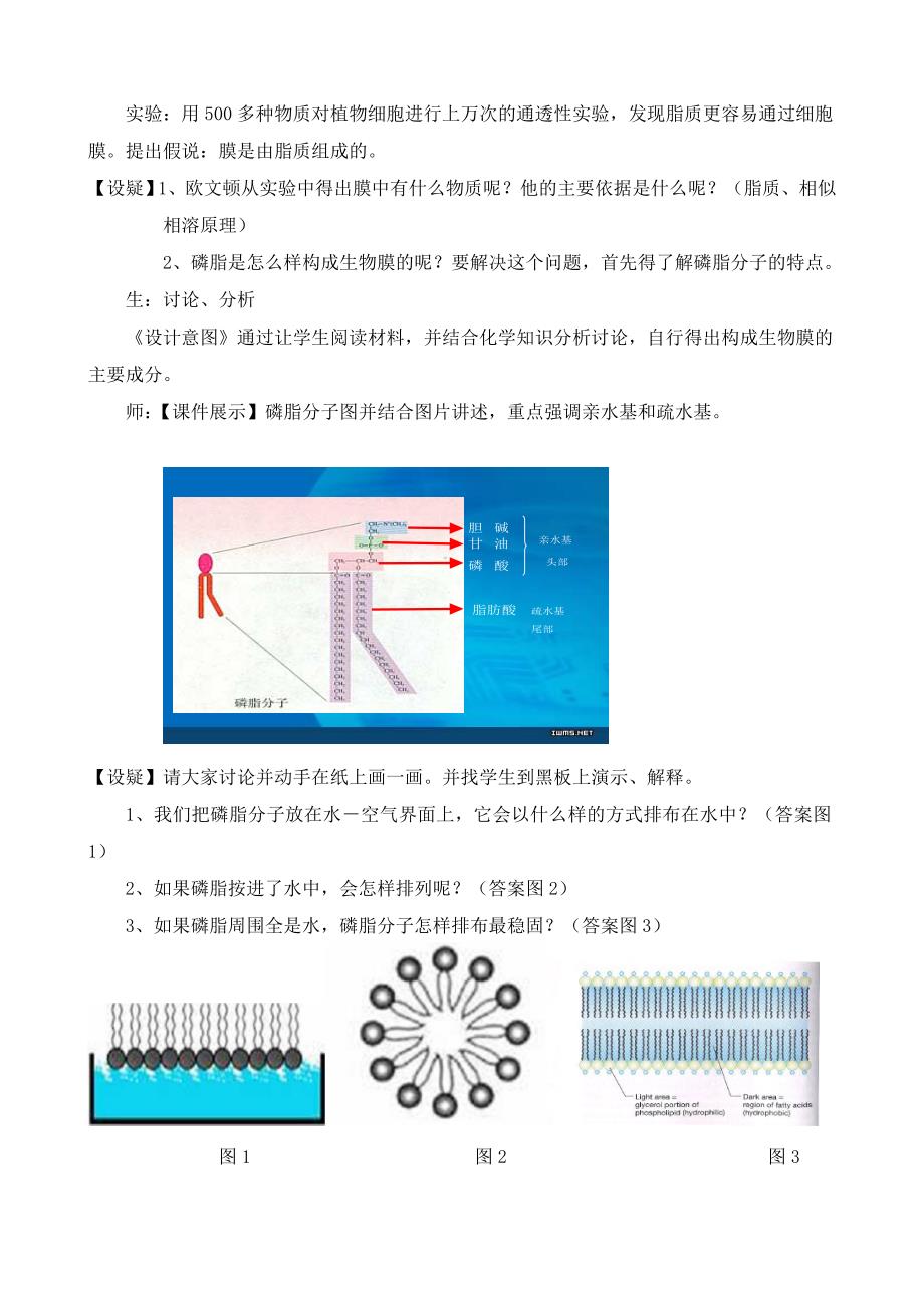 高中生物优秀课例--生物膜的流动镶嵌模型.doc_第3页