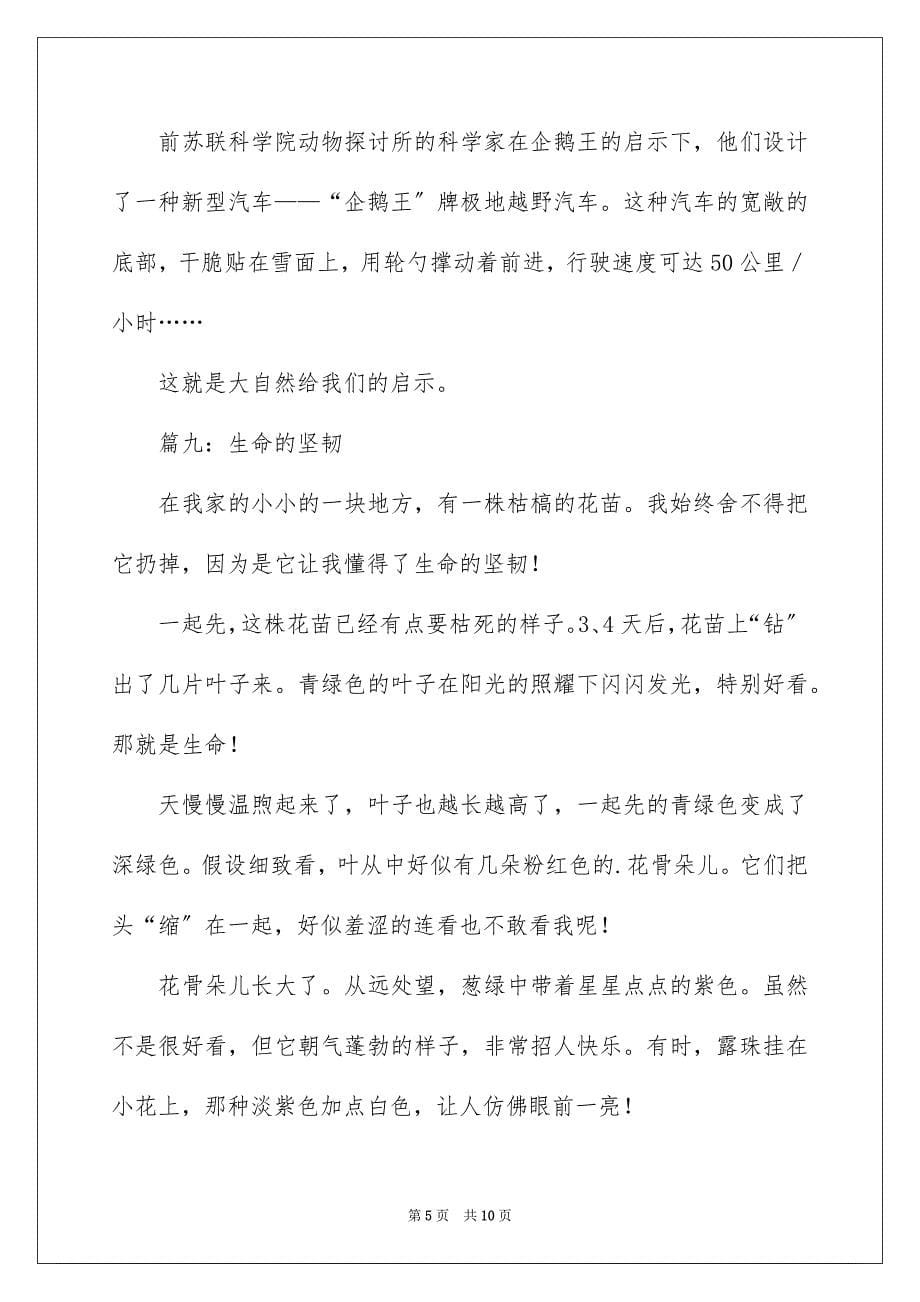 2023年我们的小学作文800字范文.docx_第5页