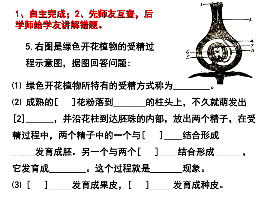 第十章生物的生殖和发育第三节绿色开花植物的有性生殖311月16日_第3页