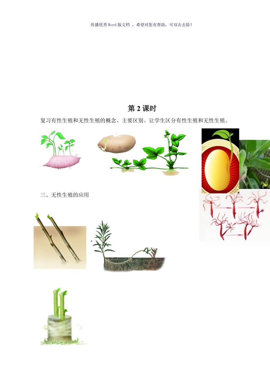 植物的生殖教案Word版_第3页