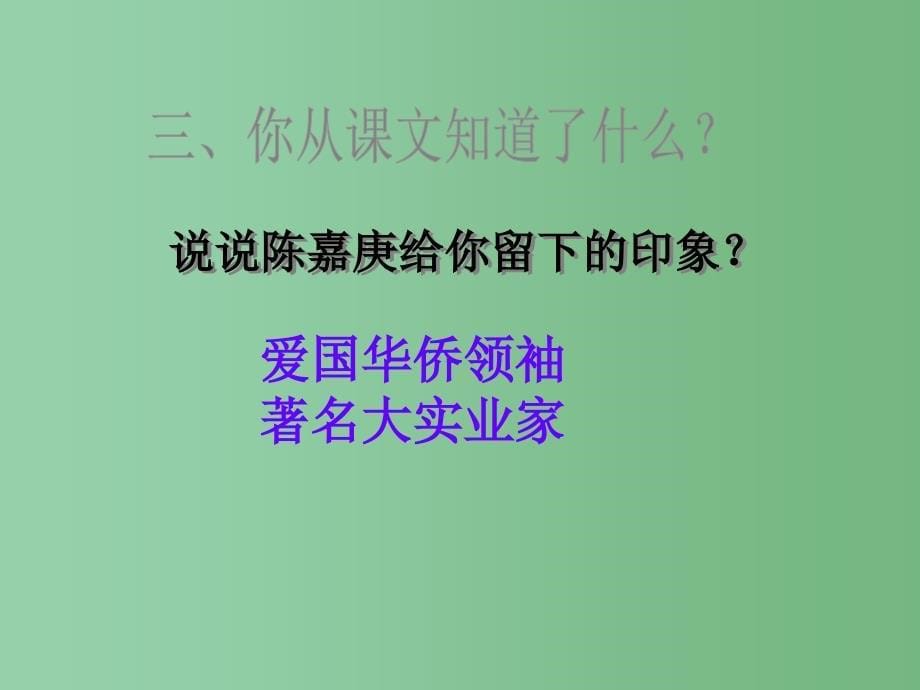 四年级语文下册第4单元14陈嘉庚办学课件4语文S版_第5页